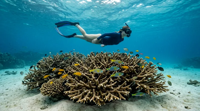Best Angthong Snorkeling Spots: A Complete Site Guide